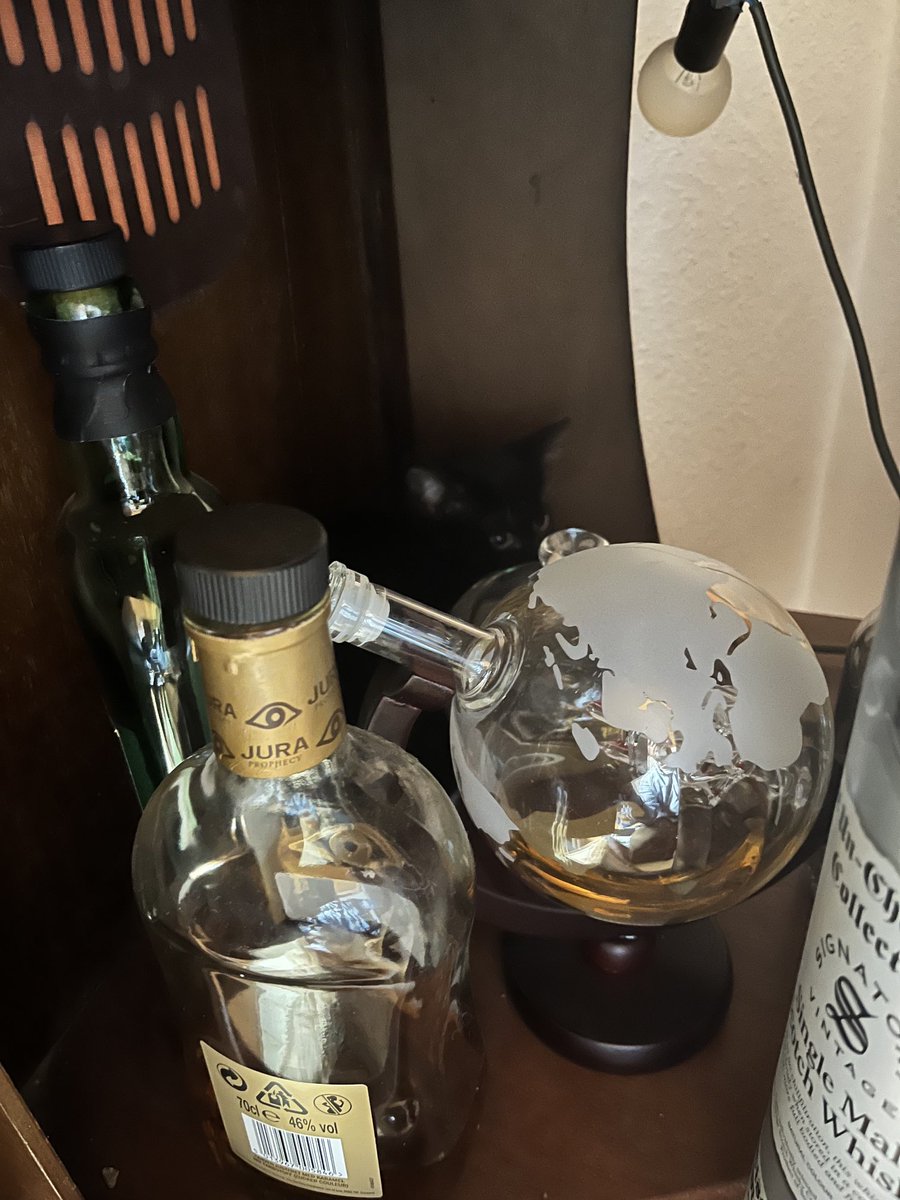 Unser neuer Kater hat sich scheinbar schnell an sein neues Zuhause gewöhnt. Whiskyliebhaber😂