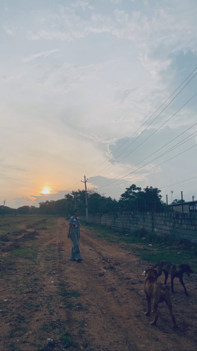 thebindumadhavi's tweet photo. Golden hour ☀️ https://t.co/Xt7gxPKfhN