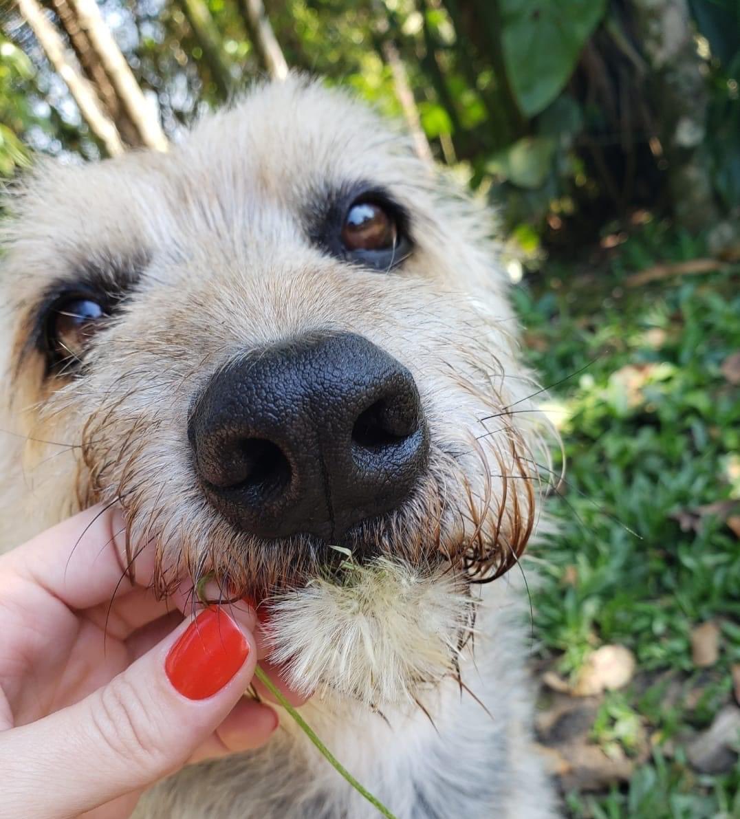 Estávamos numa discussão sobre o filho preferido. Meu Pai acabou com a discussão 😂

@borisoprincipe