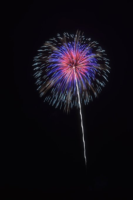 「aerial fireworks fireworks」 illustration images(Latest)