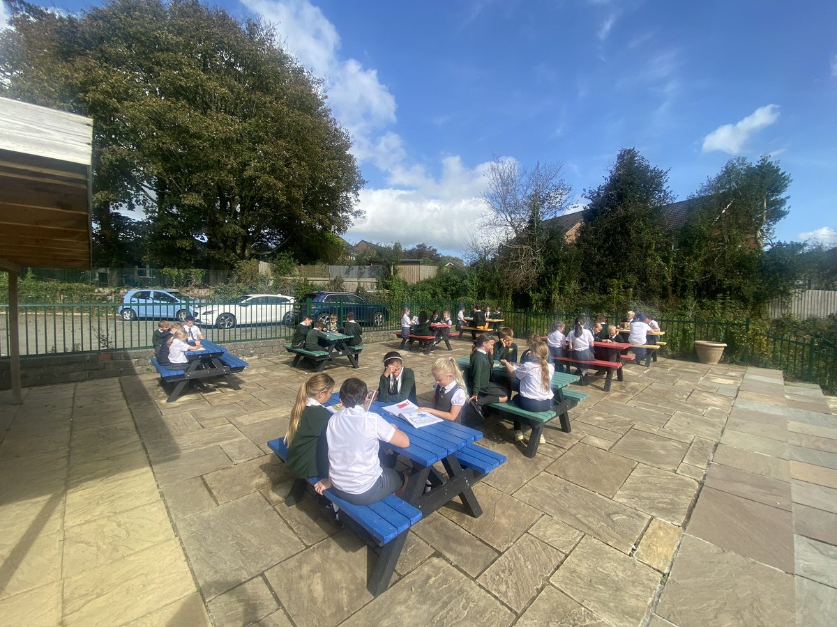 WideyBuckland tweet media