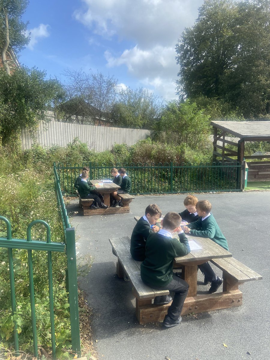 WideyBuckland tweet media