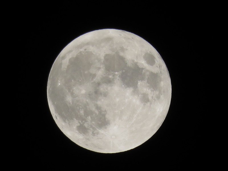 mi84tan3's tweet photo. 中秋の名月、#PowerShot SX710HS で撮影（デジタルズーム2.6倍使用・750mm×2.6）
#写真撮ってる人と繋がりたい #写真好きな人と繋がりたい #コンデジ #今夜の月
・
去年（2022年9月10日）も、ISO100、F8.0、SS1/200で撮っていたらしい。
https://t.co/LTF46mxwG7
・
最近、写真を撮らなくなったなぁ。 https://t.co/wKHDGYByV9