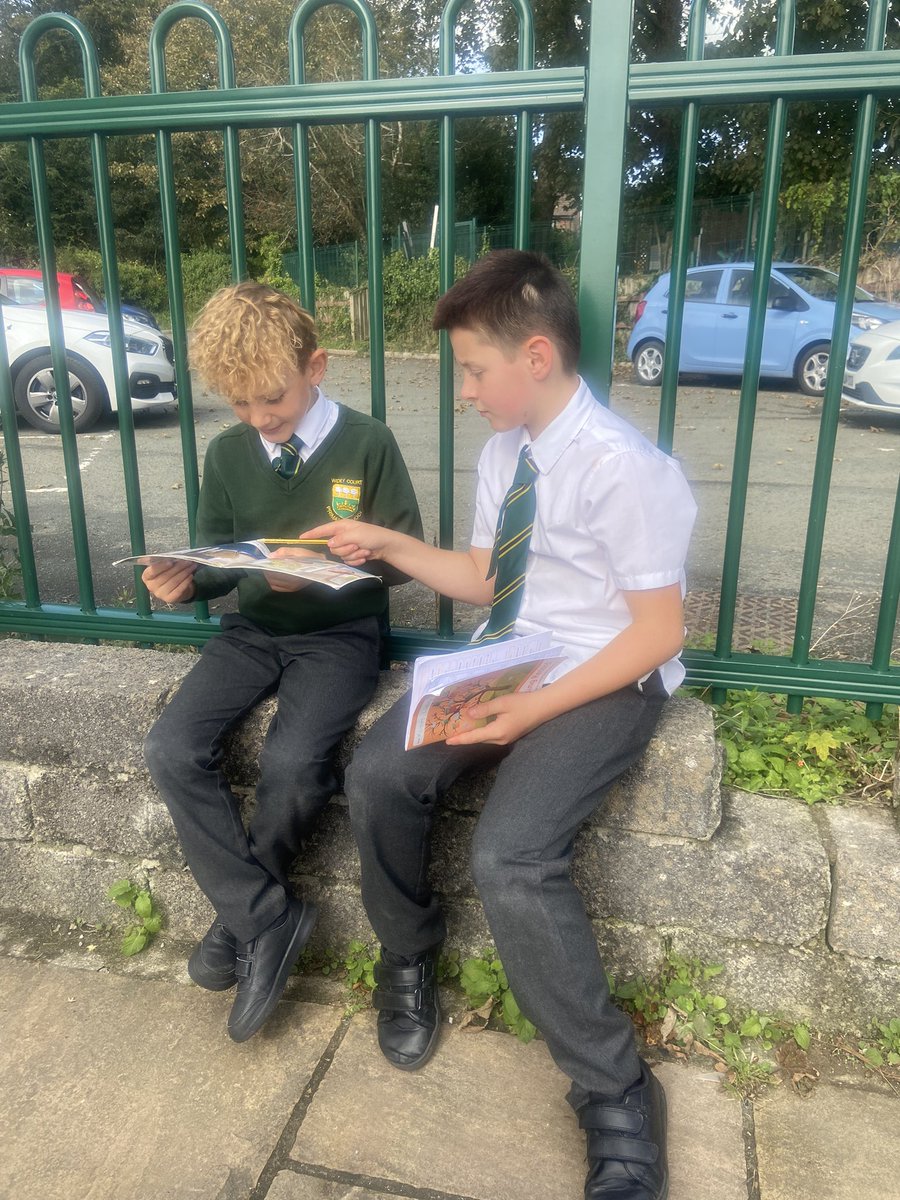 WideyBuckland tweet media