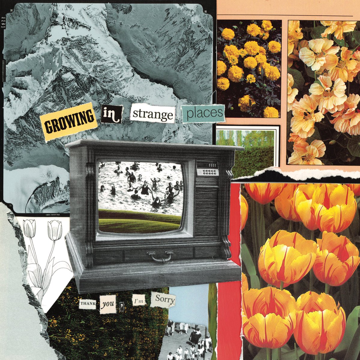 thankyouimsry's tweet image. “GROWING IN STRANGE PLACES” IS OUT EVERYWHERE NOW! We put so much of ourselves into this record and we hope it’ll be as special to you as it is to us. Thank you for sticking with us while we worked to create this, we love you ❤️ 

TYIS forever