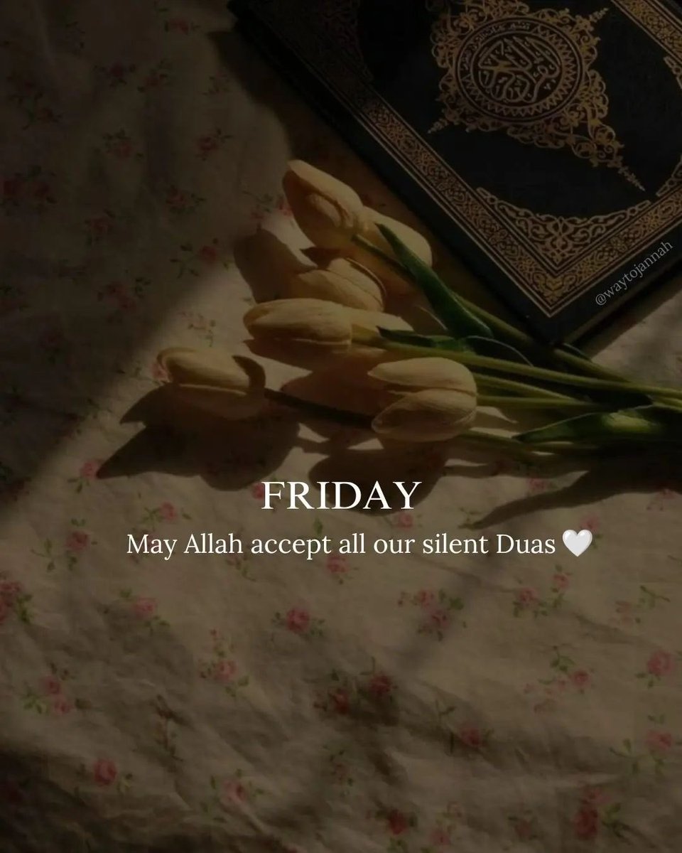 My thoughts and prayers are with the students, their families, and the entire community during this difficult time.

We must all stand together in solidarity with the students and their families. We must not let terrorism and violence disrupt our education system. Juma’at Kareem