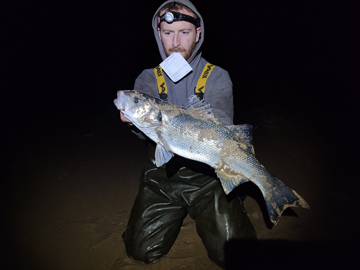 Irish_Angling_Adventures tweet media