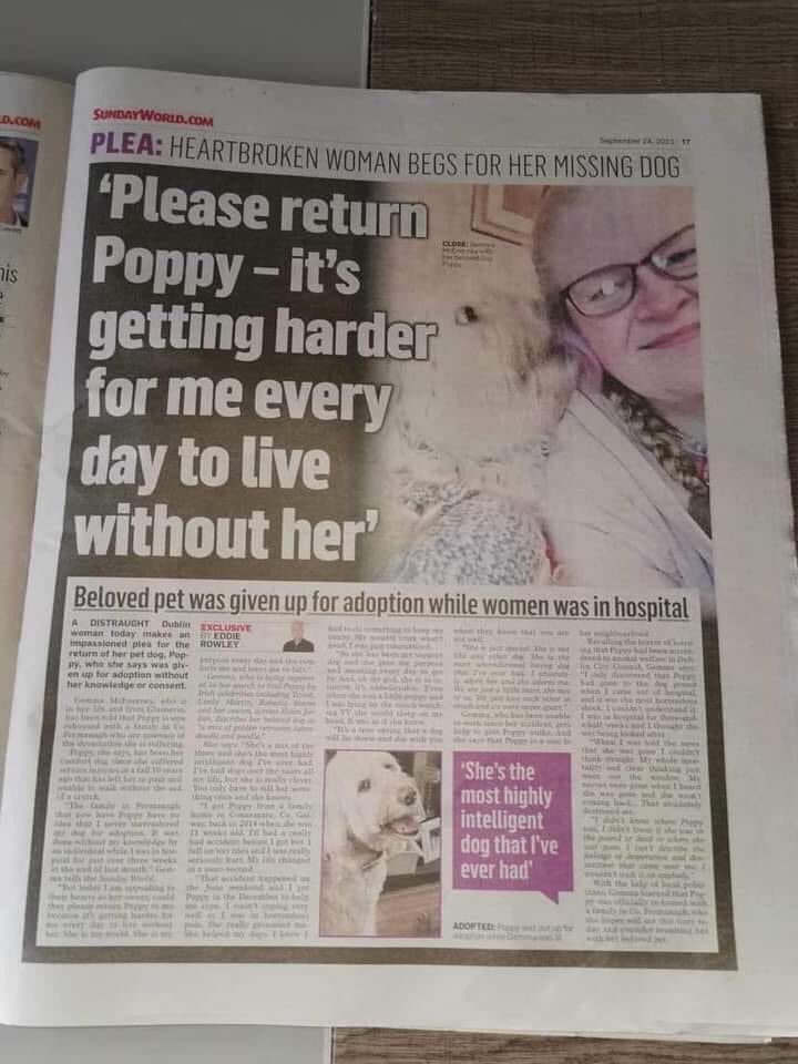 Suzod2011's tweet photo. #bringpoppyhome #brighteyesanimalsanyuary https://t.co/pScSQh3eTk