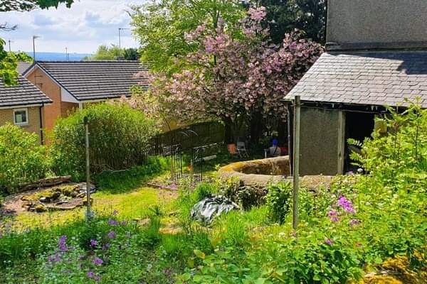 #ItsYourNeighbourhood
@KSBScotland @RHSBloom #OurBloom
#OneCan #Carluke 

We're so proud our #Community has come together to enhance The Quiet Garden, as we look forward to receiving a certificate from Keep Scotland Beautiful.   Thanks to our volunteers for their hard work.