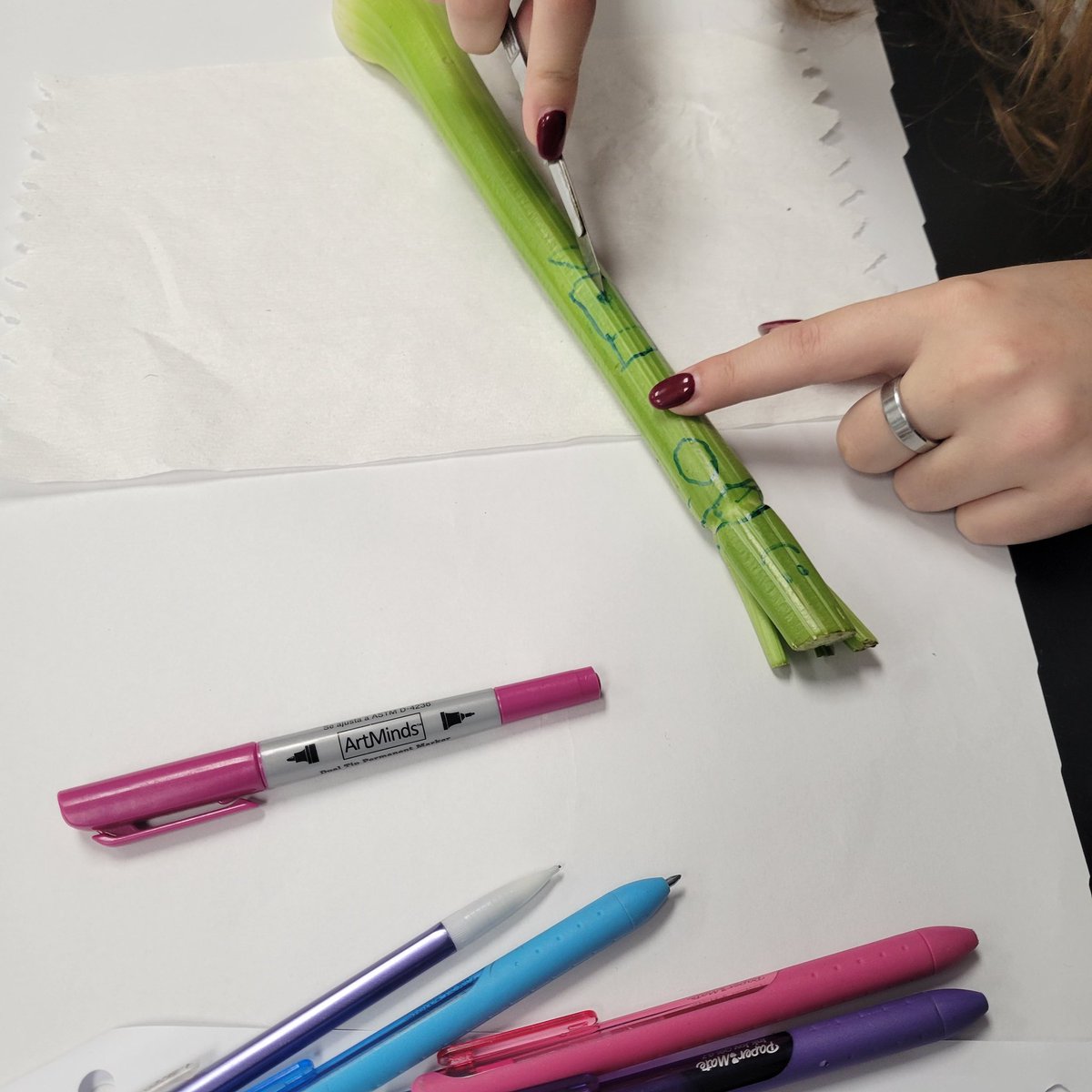 Students performed "celery surgery" today in Honors Anatomy to understand anatomic terminology. Precision and accuracy are crucial during surgery, I hope the patients survive! <a href="/BravermanHHS/">Jeremy Braverman-Howell HS Principal</a>