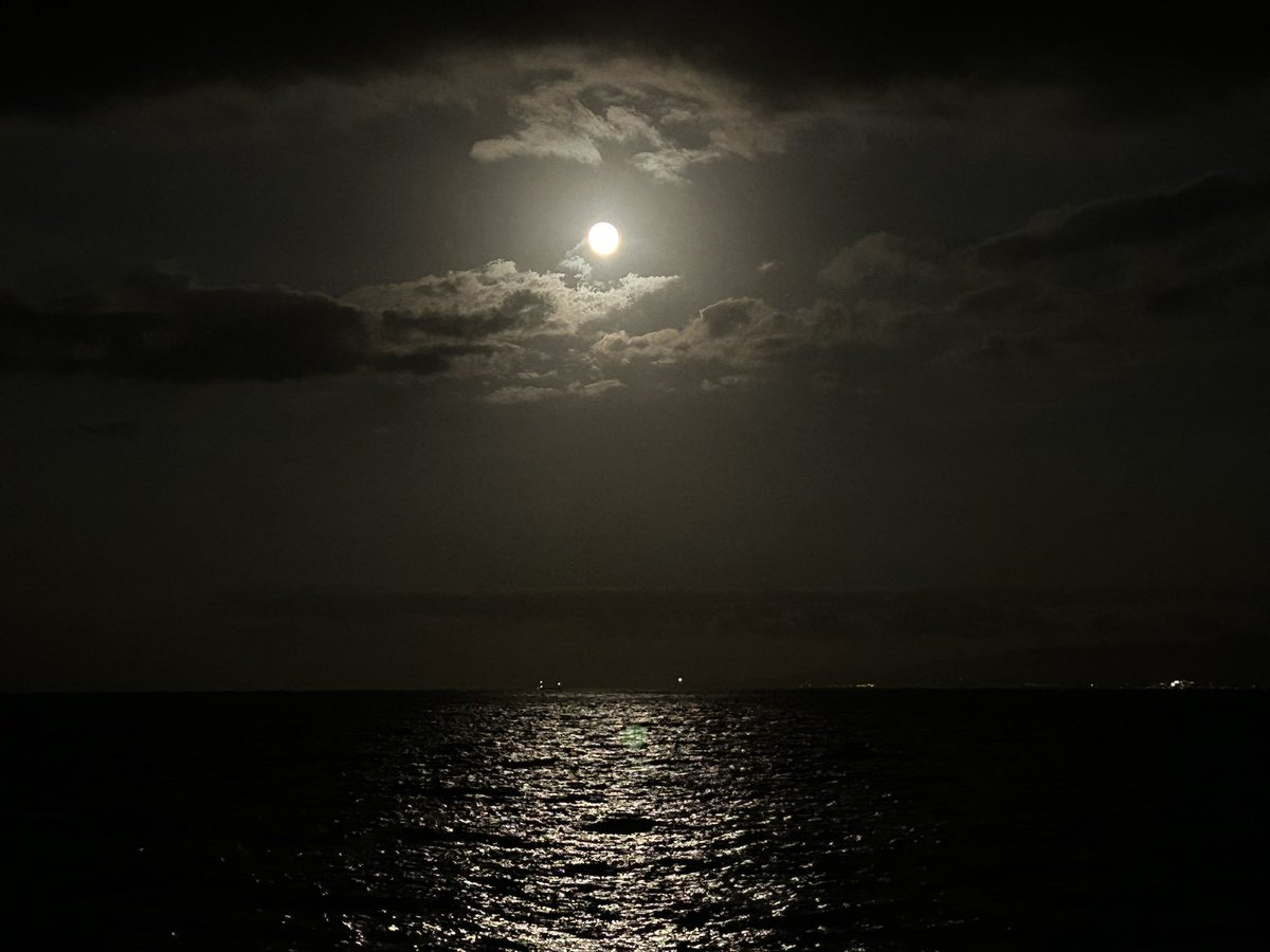 DHleechan's tweet photo. 仕事帰り、中秋の名月のムーンロード。
毎日見てる海だけど、海のある街に住んでてよかったって思えるような静かな輝き。
そして2年連続カメラ持って出勤すればよかったと後悔する日…。

#iPhoneの力 #カメラ散歩 #中秋の名月
#十五夜 #ムーンロード #ファインダーの越しの私の世界  #キリトリセカイ https://t.co/JezasRIyTg