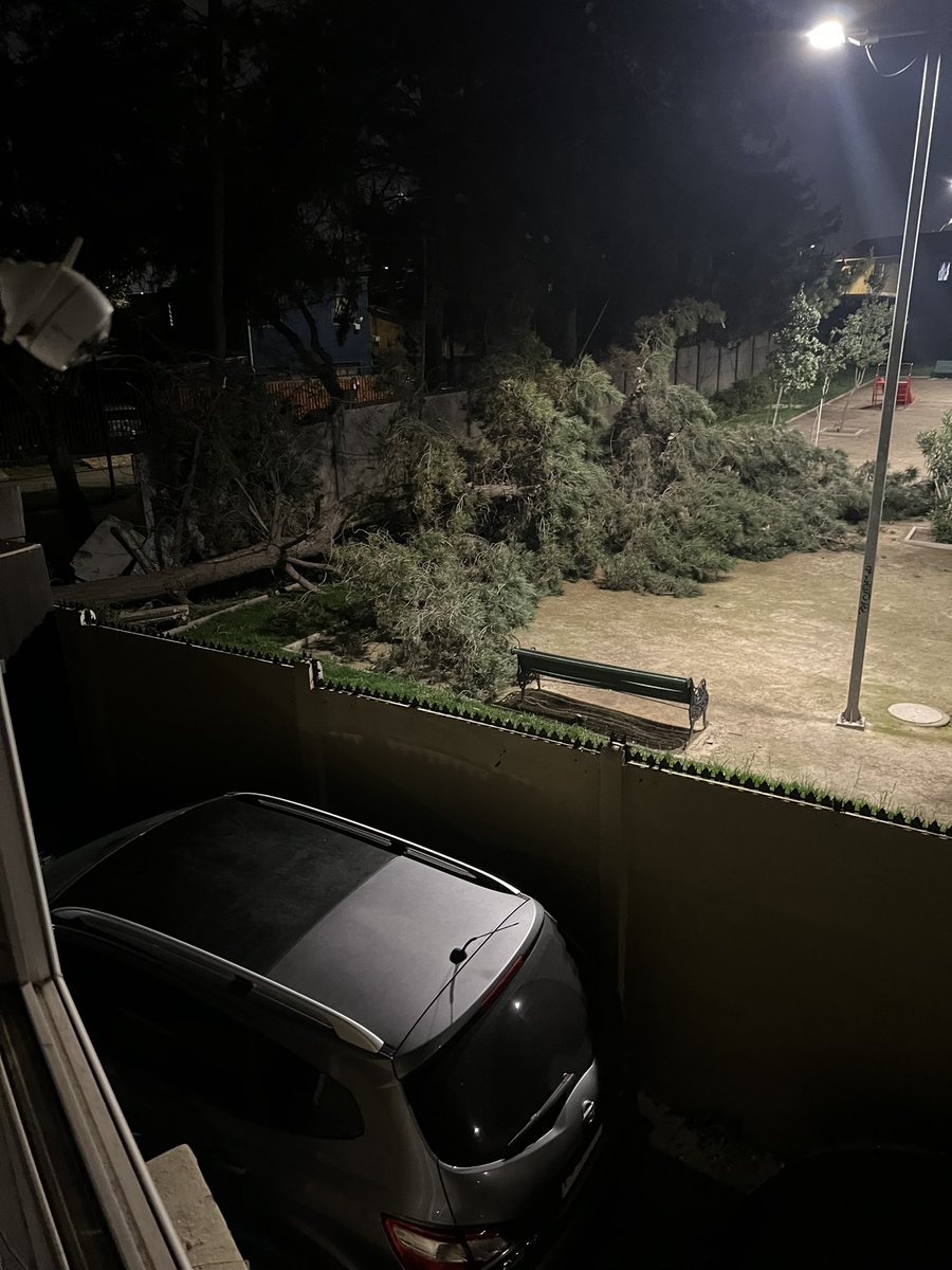 i_Stock's tweet photo. @SanBernardocl @profesor_white Arboles en malas condiciones amenazan personas y viviendas, hace una semana cayó uno a las 5 AM (por suerte sino quizás lamentaríamos  una vida) , el municipio no se ha hace cargo de los daños ni de la inspección de los otros arboles,que esperamos? https://t.co/Z0ivML5pOl