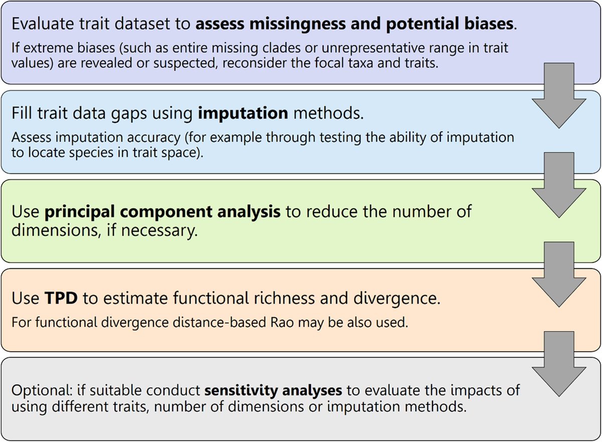 kerrysmith189's tweet photo. This means we likely have enough data to estimate large-scale functional diversity for multiple taxonomic groups, but data collection should continue.

We have produced a guide for reducing error when estimating functional diversity from incomplete trait datasets. https://t.co/WQ4a5xddWZ