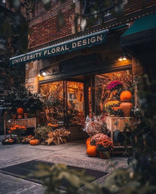 ValentyneDreams's tweet photo. “How beautifully leaves grow old. How full of light and color are their last days.” https://t.co/6wy8XHfKC7