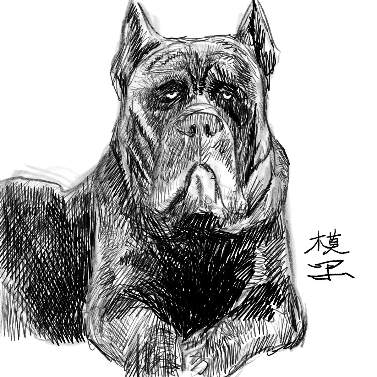模写✍️ 