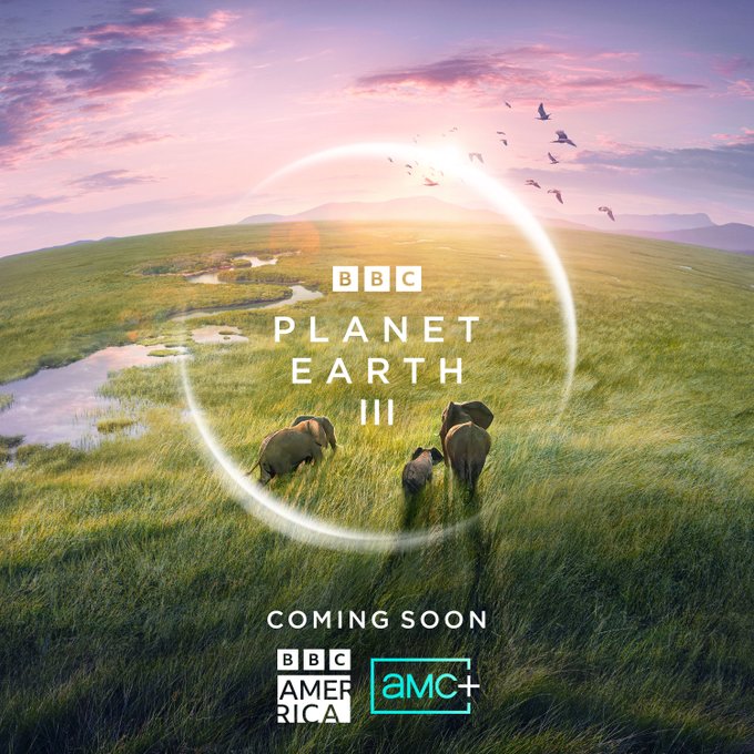 Everything on Earth has an extraordinary story.  #PlanetEarth3, coming soon to BBC America and @AMCPlus<a href="/tag/planetearth3"class="tags"><span>#planetearth3</span></a>