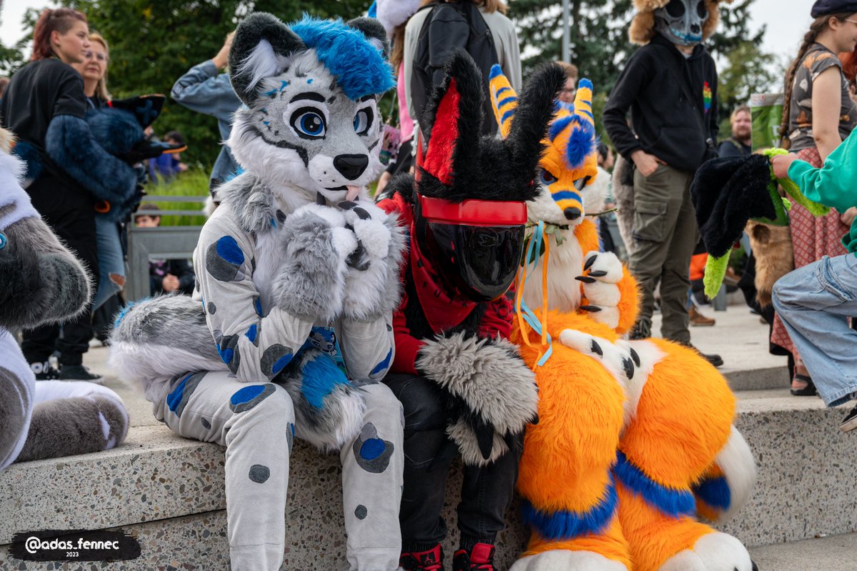 Martinos_013's tweet photo. Thank you @Mowen_x and @Sniksy2 for #fursuitwalk. Was fun
#wrfw
📸@adas_fennec https://t.co/fokPafiBhv
