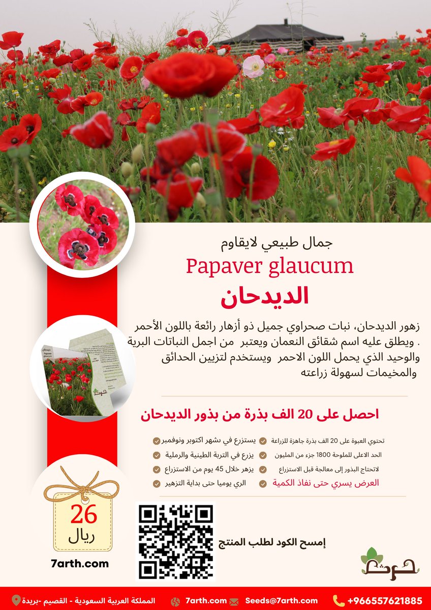 7arthSA's tweet photo. 2 -  الديدحان  او شقائق النعمان 
Papaver Glaucum

افضل وأجمل الزهور البرية 🌹🌹 

للحصول على البذور من هنا 👇
https://t.co/cGZZO0k40C

#حرث  #الوسم #اليوم_الوطني_السعودي_93 
#ساعة_استجابة #يوم_الجمعة https://t.co/Ns8Yv6RpeD