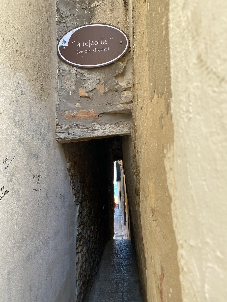 Giorgio Tassi tweet media