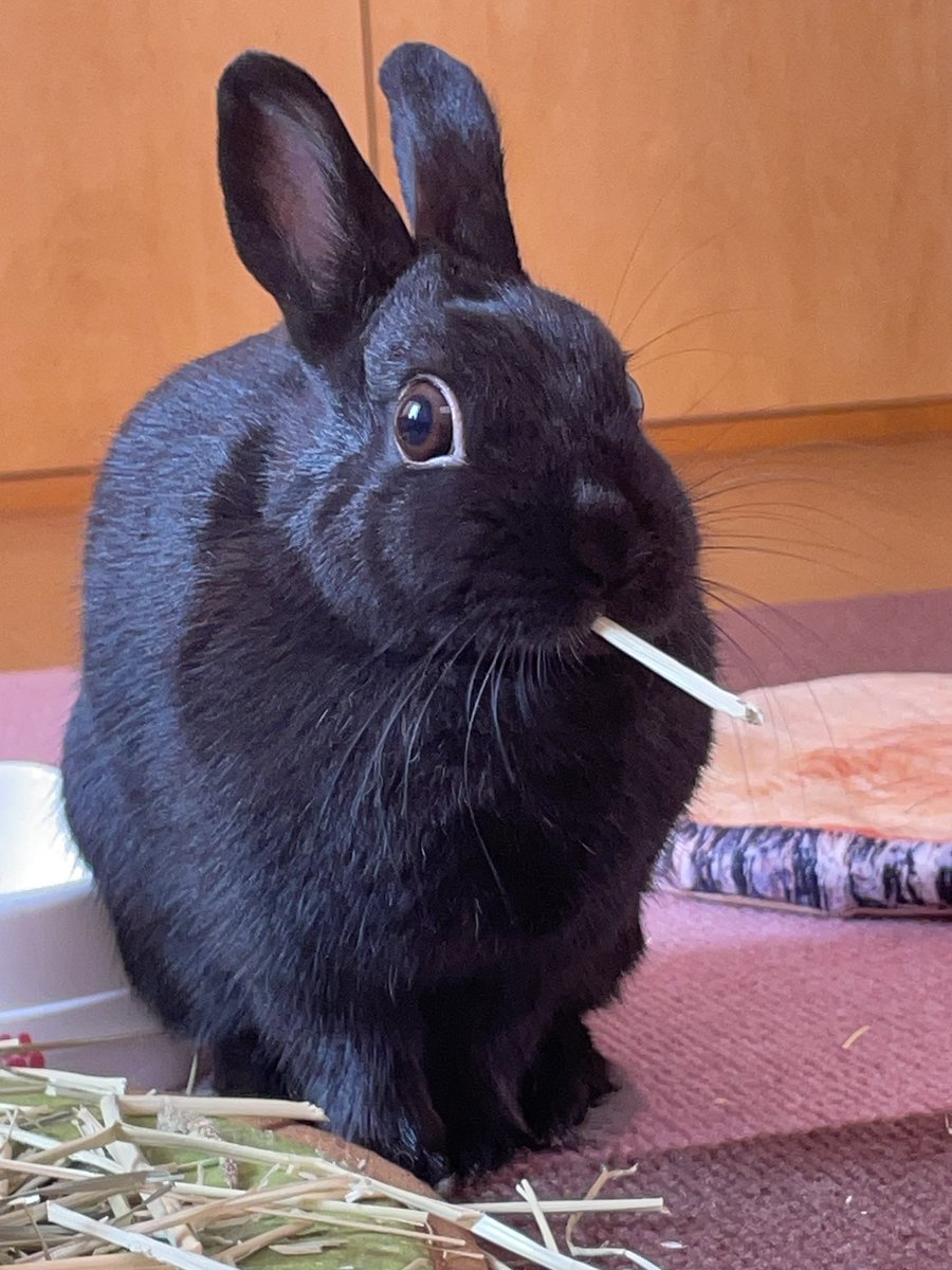 She sometimes wants to be cool.