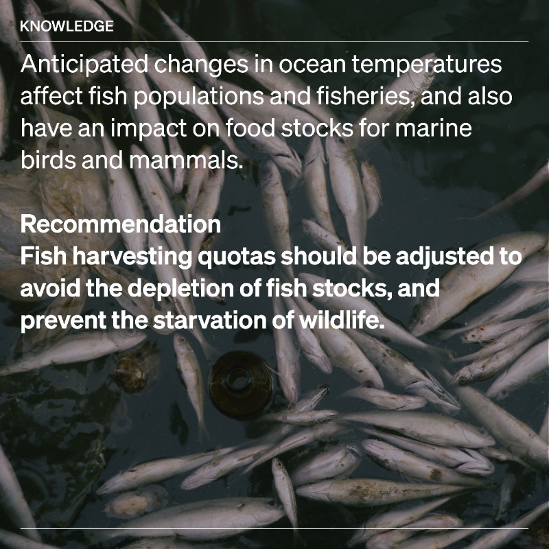 WOAH's tweet photo. Climatic events like the ones induced by #ElNiño impact unmanaged wildlife populations too. Understanding the potential impact can help develop locally relevant plans and engage key agencies and community stakeholders in preparedness, and in designing communication strategies.