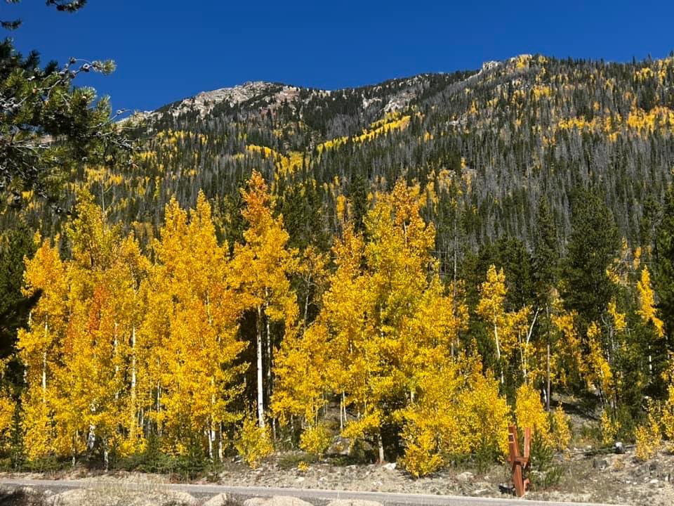 Vanessa.Lindstrom tweet media