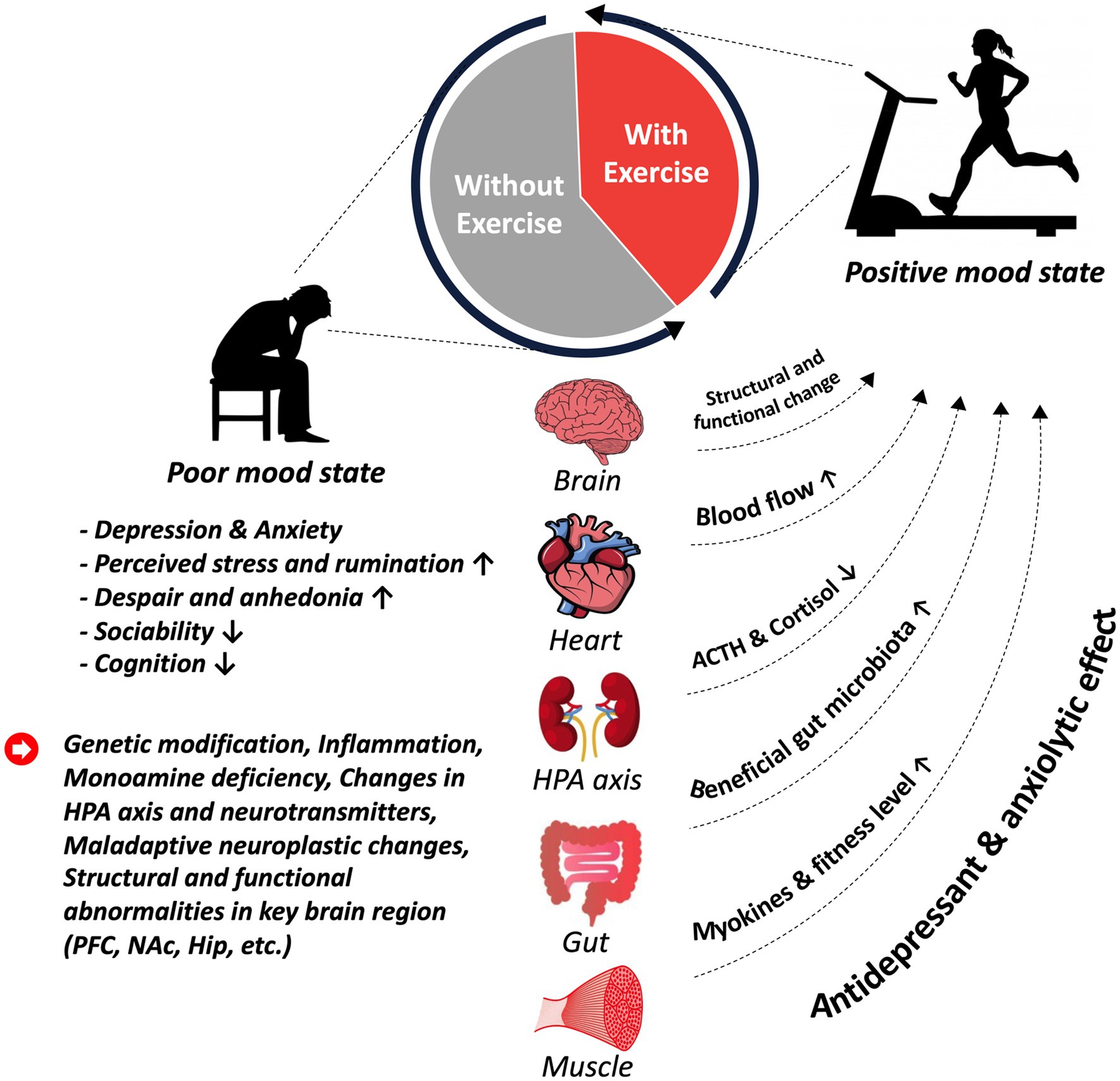 Effects of aerobic exercise on blood pressure in patients with  hypertension: a systematic review and dose-response meta-analysis of  randomized trials
