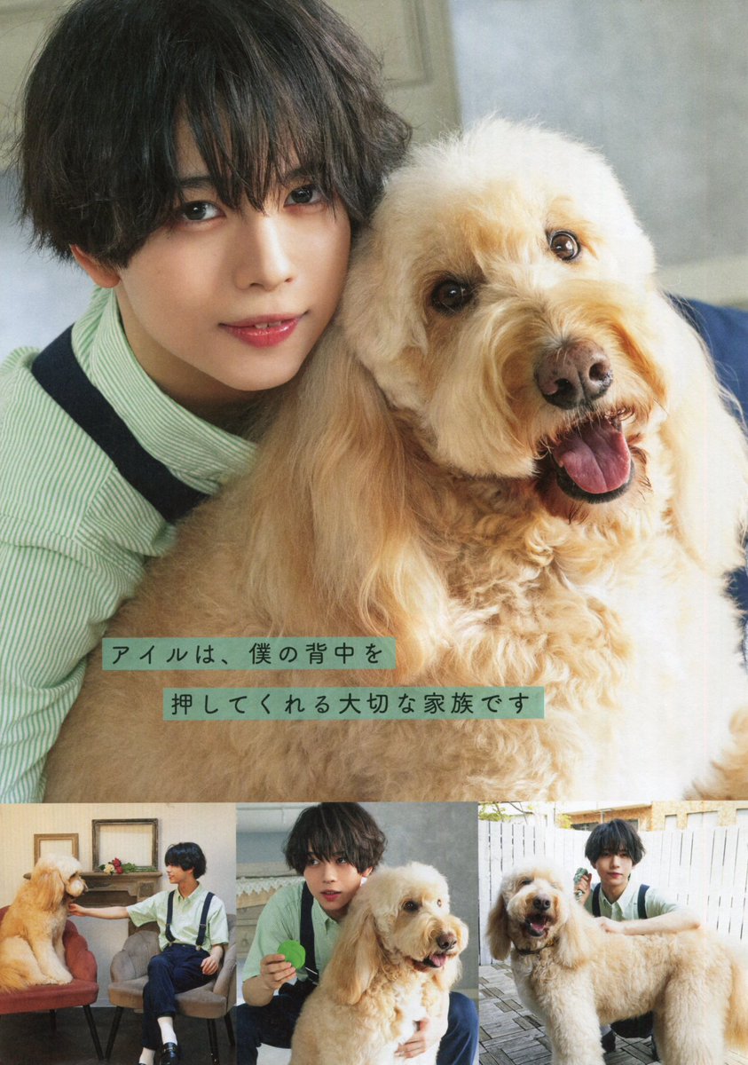 𝙋𝙚𝙩 𝙋𝙤𝙥 𝙎𝙌𝙐𝘼𝙍𝙀 𝙫𝙤𝙡. ⁷ 織山尚大 🐶