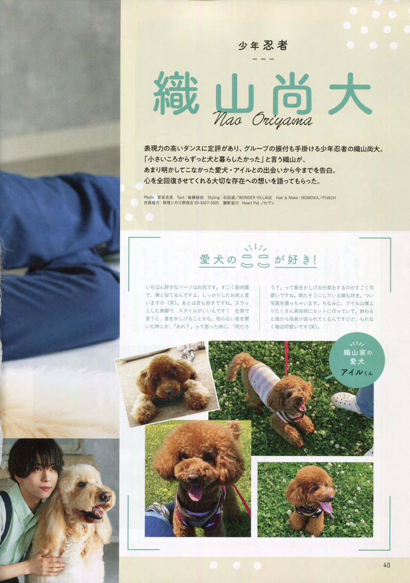 𝙋𝙚𝙩 𝙋𝙤𝙥 𝙎𝙌𝙐𝘼𝙍𝙀 𝙫𝙤𝙡. ⁷ 織山尚大 🐶