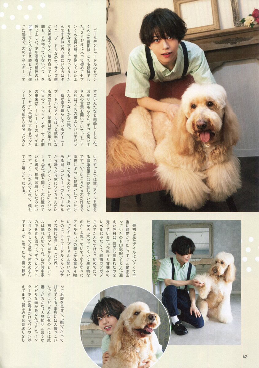 𝙋𝙚𝙩 𝙋𝙤𝙥 𝙎𝙌𝙐𝘼𝙍𝙀 𝙫𝙤𝙡. ⁷ 織山尚大 🐶