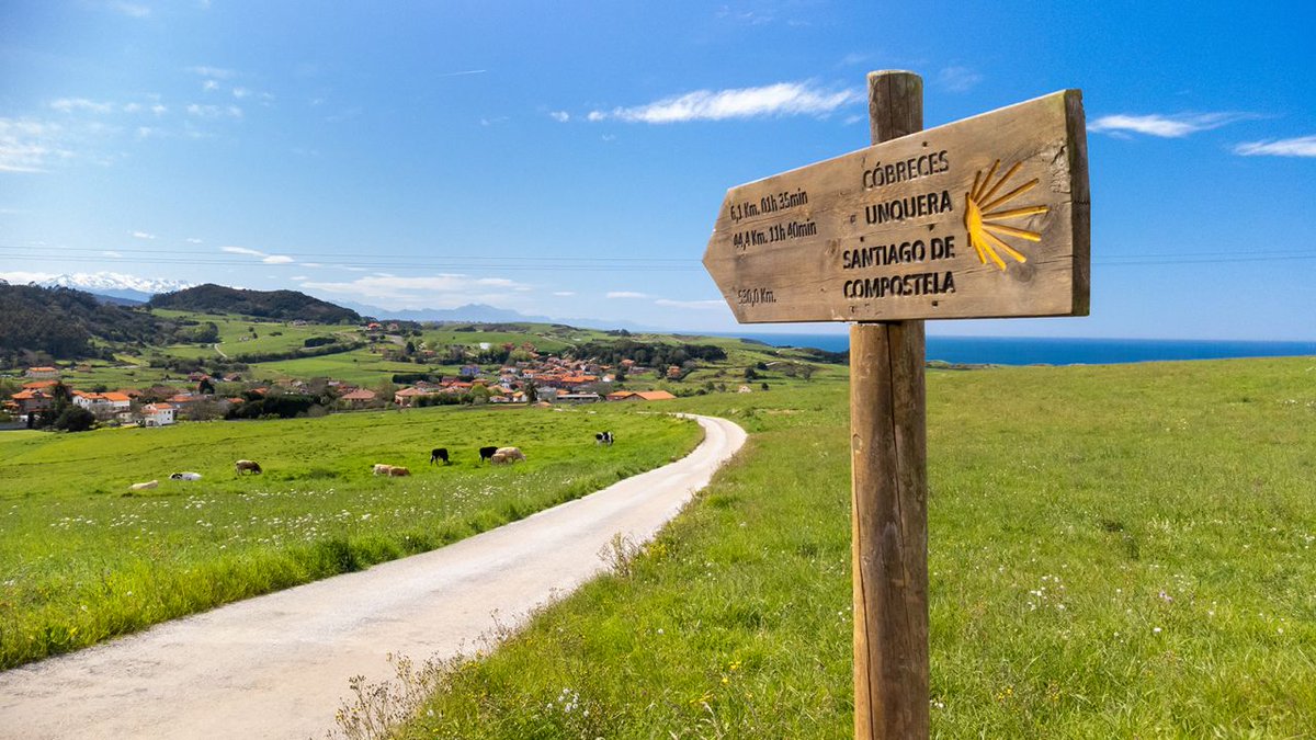 Want to join me on the Camino next summer? I will be co-leading a pilgrimage with Jackson Droney through @shaleminstitute. There are only eight spots left! Learn more or sign up at shalem.org/programs/on-th…