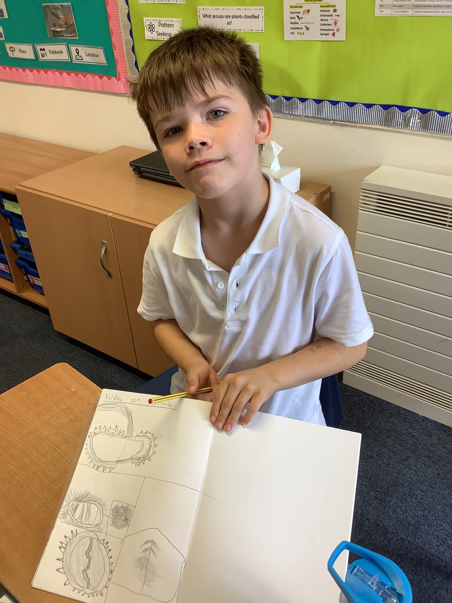CroxbyPrimary's tweet photo. As artists we have been drawing conkers! We have done a great job! #croxbymagic https://t.co/bql36Emnmj