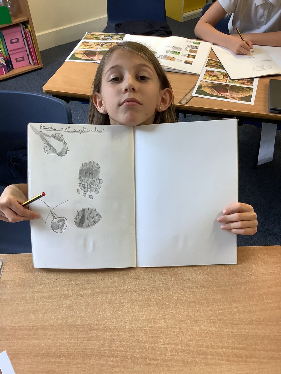 CroxbyPrimary's tweet photo. As artists we have been drawing conkers! We have done a great job! #croxbymagic https://t.co/bql36Emnmj