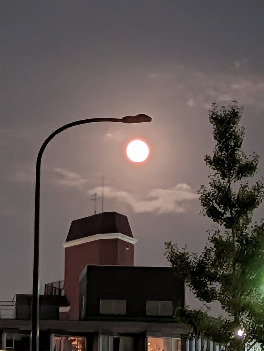 kapitanpetko's tweet image. #月見 #nightsight