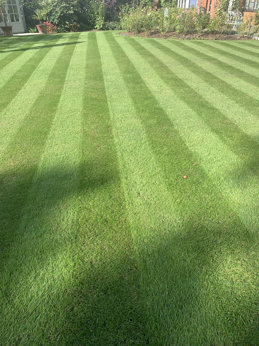 Peter Jones tweet media