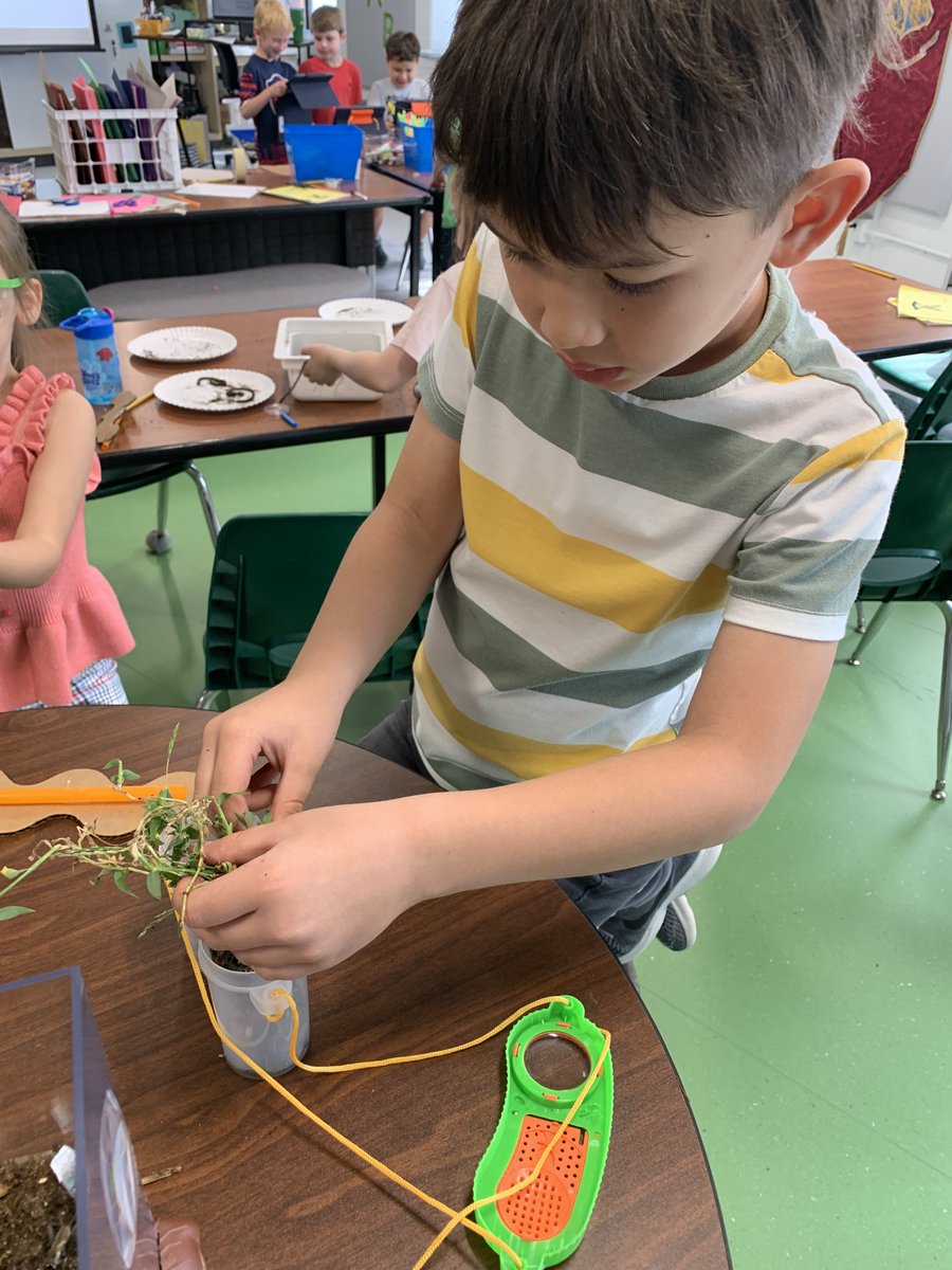 Nicole Gordon tweet media