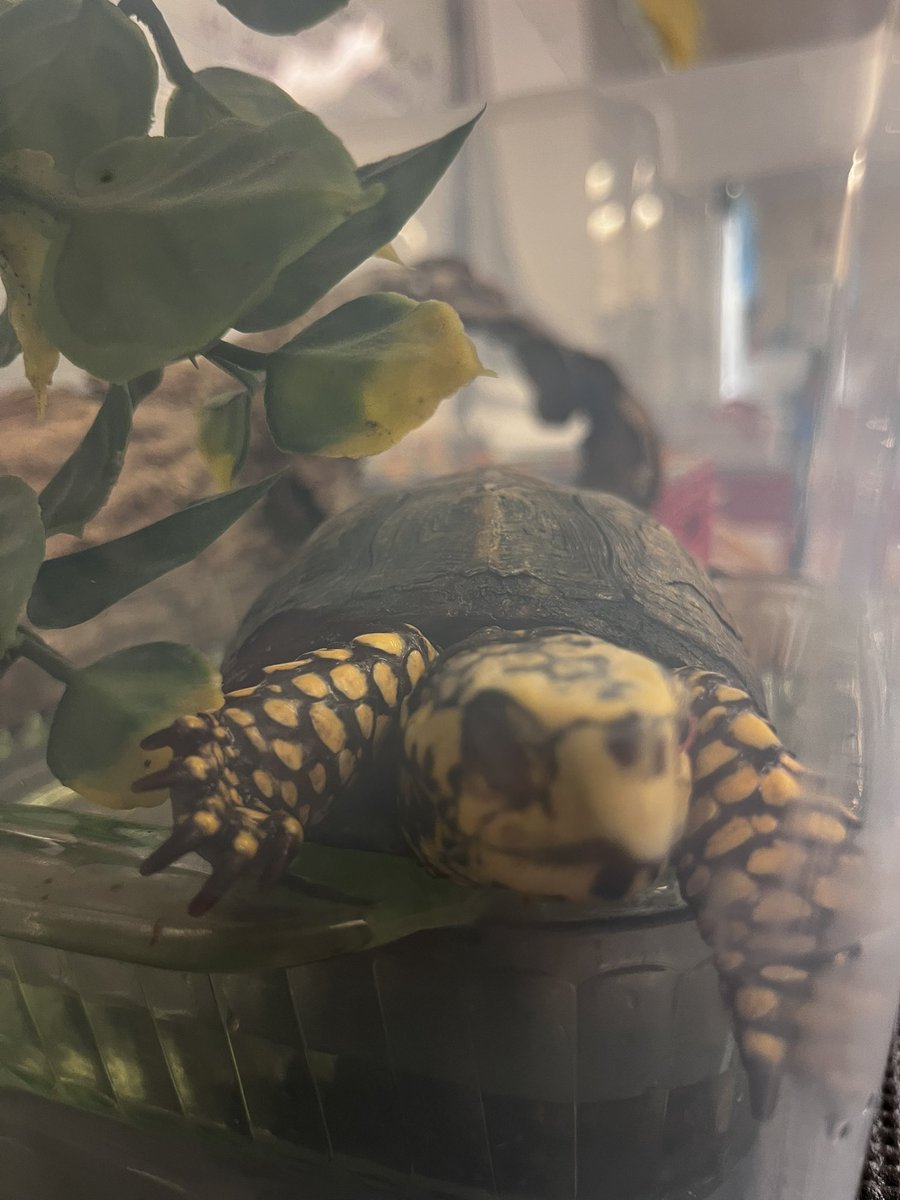 Mrs. Hill tweet media