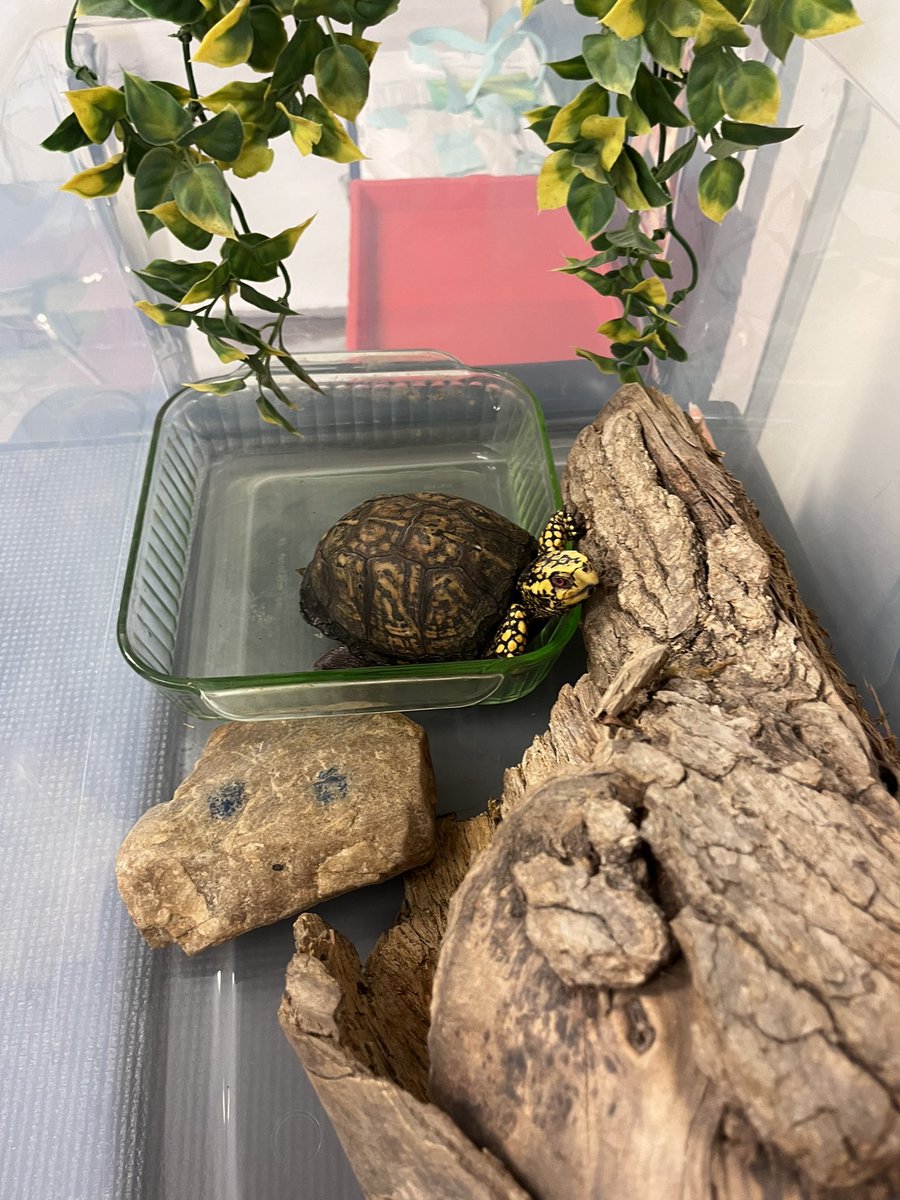 Mrs. Hill tweet media