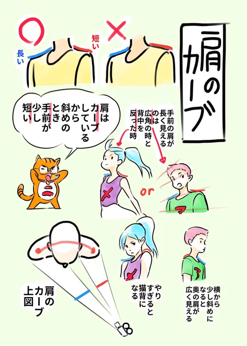 ◎肩のカーブ ・斜めのとき手前の肩が少し短くシルエットで見える ・手前の肩が長く見えるのは広角か体を反ったとき ・真横から少し角度が付くと顕著に奥肩が見える ・やり過ぎると猫背に姿勢が悪くなる