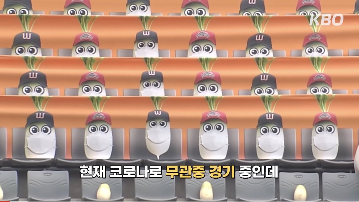 cl_2330's tweet photo. 코로나시절야구는 무관중이였는데
그럼 어케했냐고요?
ㄹㅇ무관중이였음
그니까 진짜 무를 관중으로데려옴
심지어 무 주제에 사회적거리두기까지함
ㅈㄴ기특해죽겠음;; https://t.co/IJTOyj5YO4