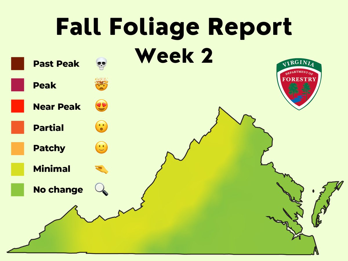 ForestryVA's tweet photo. Green is still the predominant color in Virginia's forests this week. Even in the mountains, only pinches of reds and yellows can be found. 🤏 🍁 You may see individual trees—especially in urban areas—already ripe with color because of drought-induced stress. https://t.co/P8Q1XzU38f