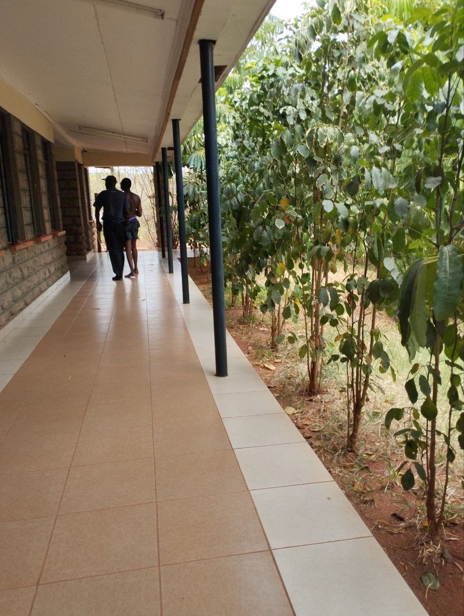 omwambaKE's tweet photo. ABOUT LUKENYA UNIVERSITY
 From my inbox,
"Hide ID bro,
There's this university called lukenya university main campus mtito andei,, It's like an highschool where the dvc is beating up comrades kwa petty issues like ukipatikana na mpoa wako hostel ikue mchana ama usiku,, students are being manhandled like thieves😭ill share some photos of some cases ,,leave that alone,,even walking or seating with your mpoa usiku upatikane we kwisha,,it's a fucked up University .....post this on Twitter and TL.
Huyo ni comrade ametolewa room bila nguo🥲🥲
The guy is chief of security wa shule.
Alot of students wamepigwa na huyo dvc manze kama watoto,,like he literally slaps them vibaya sana,, something that's should be addressed,,he is treating them like highschool kids yet others are even parents hapo"