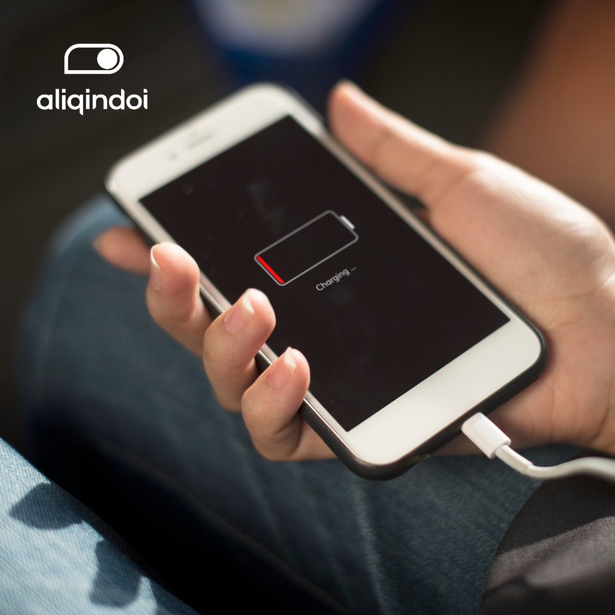 Aliqindoi tweet media