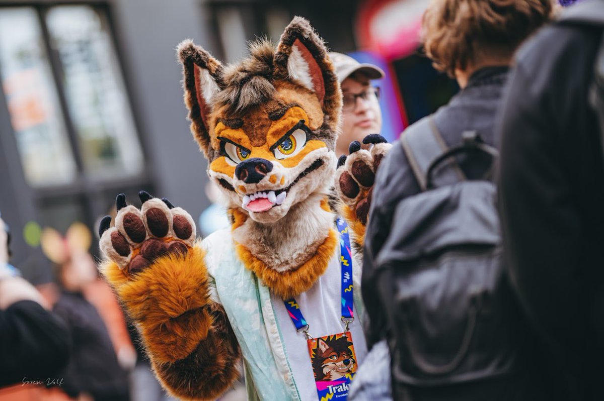 My first fursuit walk with fursuit &lt;3

📷<a href="/sw__wolf/">sw__wolf</a> 
#FursuitFriday #fursuit
