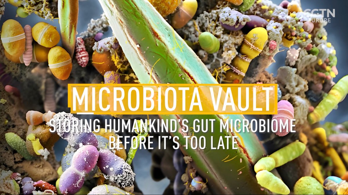 Microbiota Vault (@microbiotavault) on Twitter photo Razor produced a wonderful in-depth feature about the Microbiota Vault: youtube.com/watch?v=nZDB1o… Razor produced a wonderful in-depth feature about the Microbiota Vault: youtube.com/watch?v=nZDB1o…