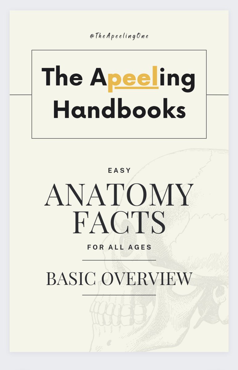 BMJ_Eth's tweet photo. @AltCryptoGems Great info as usual brother๐ฏ
$PEEL will have a handbook collection of collaborations with professionals in specific fields, earning royalty on each book.
With your knowledge, definitely would love that collaboration๐
Complex topics broke down so kids can understand
#Apeeling https://t.co/I7oP3PTC52