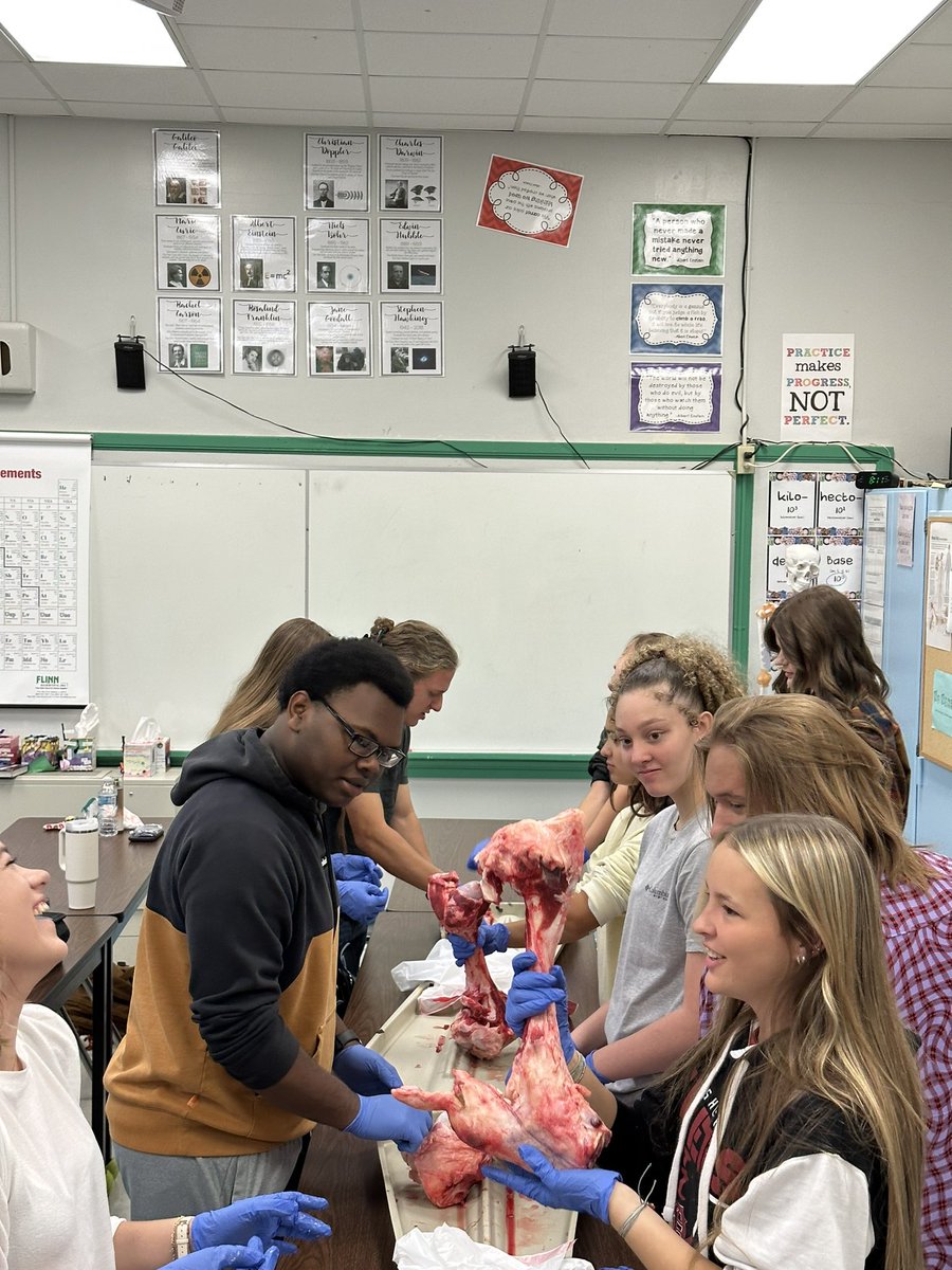 MrsKeriLewis1's tweet photo. Thanks to Florence Frozen Meats for providing the cow bones for our cow bone dissection. @TuscumbiaCitySc @Deshler_High https://t.co/XJnx9YhIaL