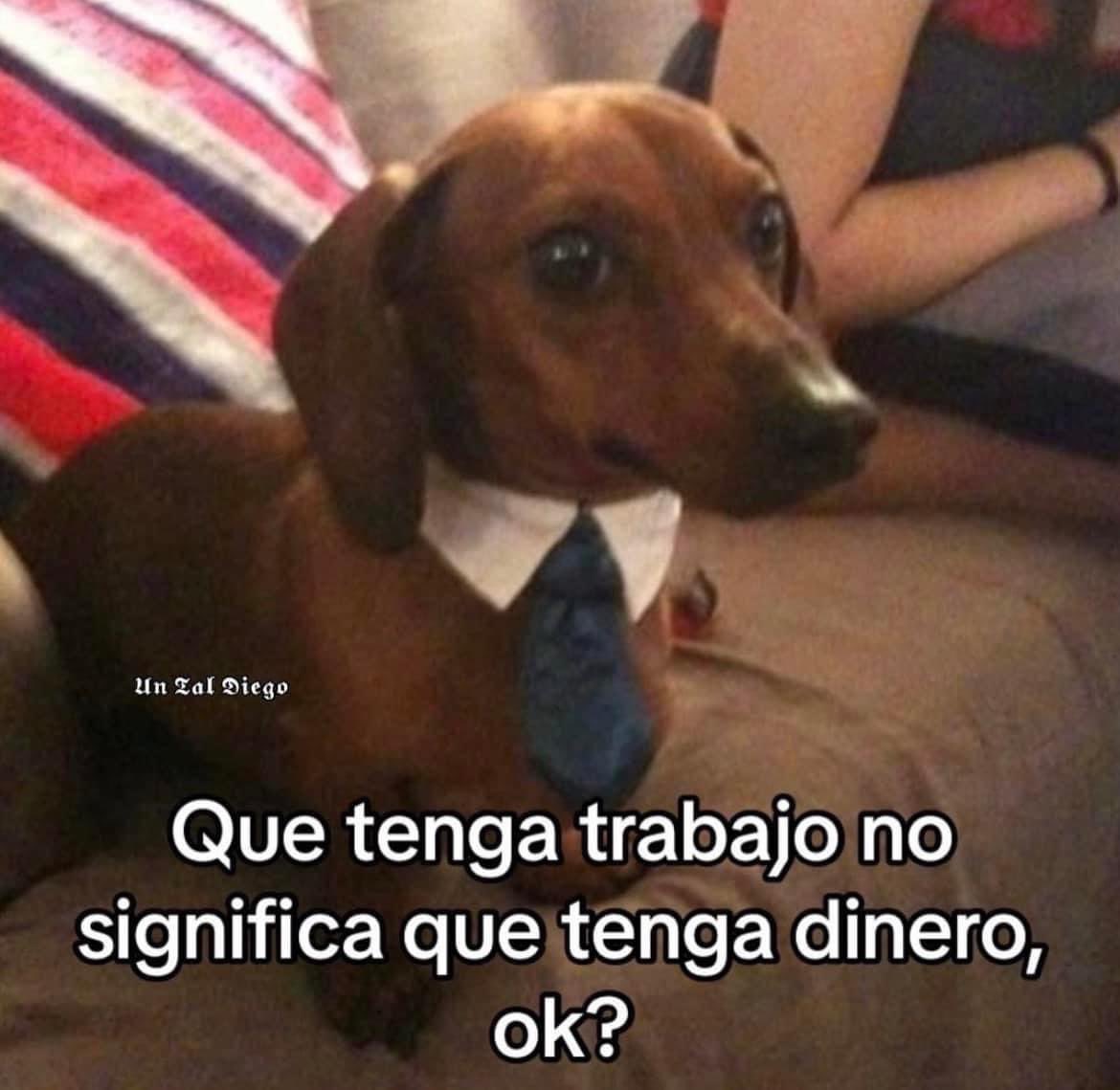 El Guarromántico (@guarromantico_) on Twitter photo 