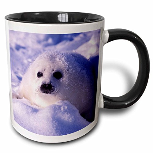 WOAH! I was just gifted 3dRose mug_74860_4 'Gulf of St. Lawrence, Harp Seal pup-CN14 GJE0025 - Gavriel Jecan' Two Tone Black Mug, 11 oz, Multicolor - 11 oz from imp clothier via Throne. Thank you so much! throne.com/arthurabbott