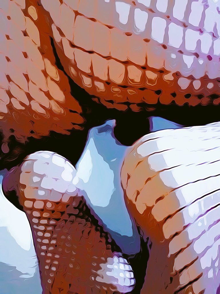 lockedmutt's tweet photo. #fishnetfriday #archivbild https://t.co/G2OqaKIJfK